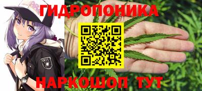 PSILOCYBIN Берёзовский