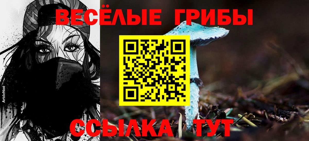 Калач-на-Дону  Псилоцибиновые грибы Cubensis  Вход с VPN 